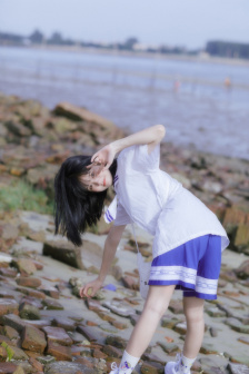 辛特尔